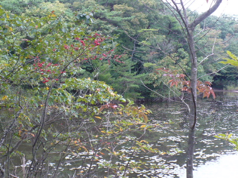 a0063364_2229446.jpg