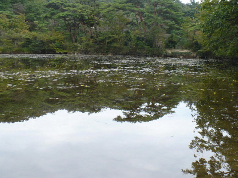 a0063364_22393776.jpg