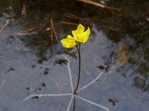 a0063364_23111295.jpg