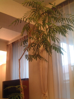 e0016164_20341793.jpg