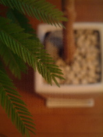 e0016164_20421775.jpg