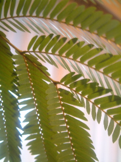 e0016164_20462217.jpg