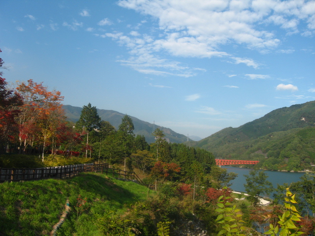 d0070473_1137525.jpg