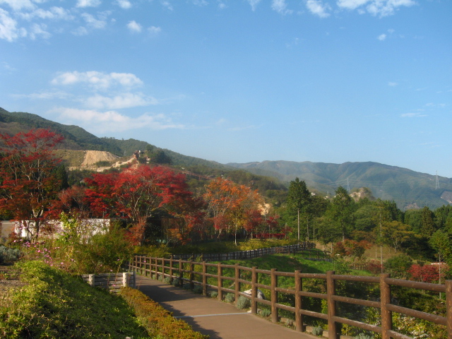 d0070473_13511999.jpg