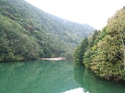 d0098792_874672.jpg