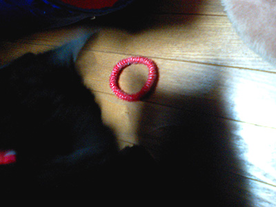 e0019594_1539238.jpg