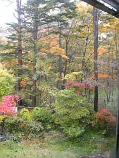 b0101300_1059945.jpg