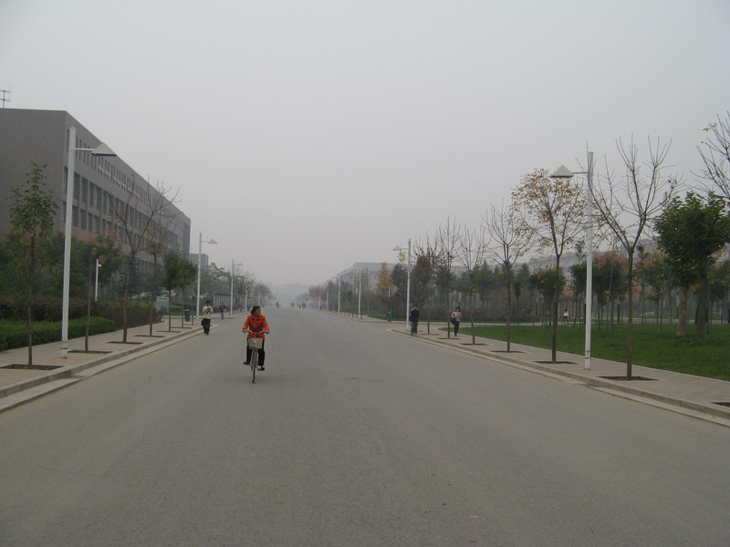 d0114408_1639493.jpg