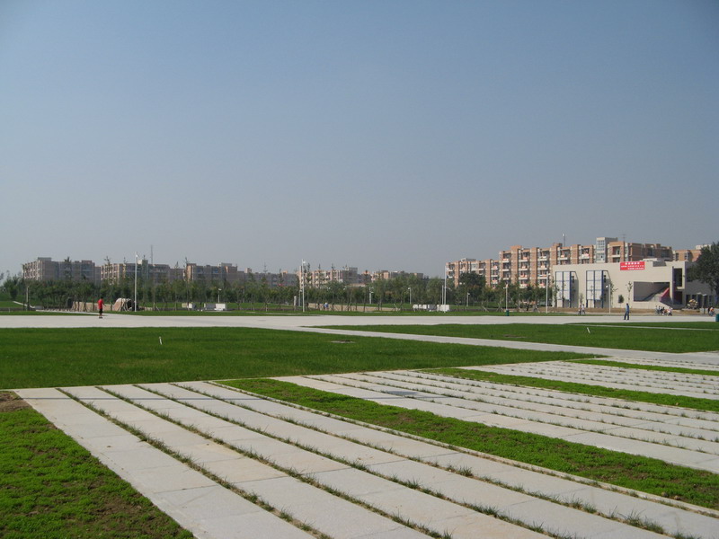 d0114408_17441347.jpg