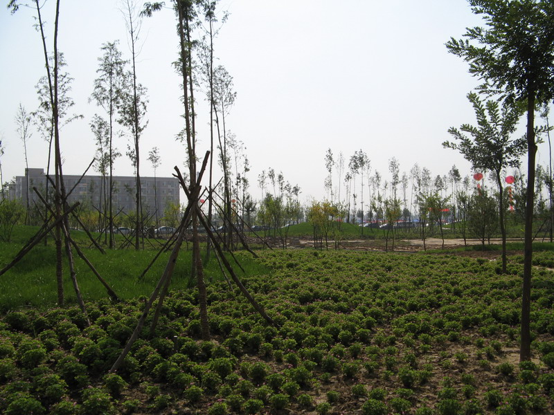 d0114408_1748228.jpg