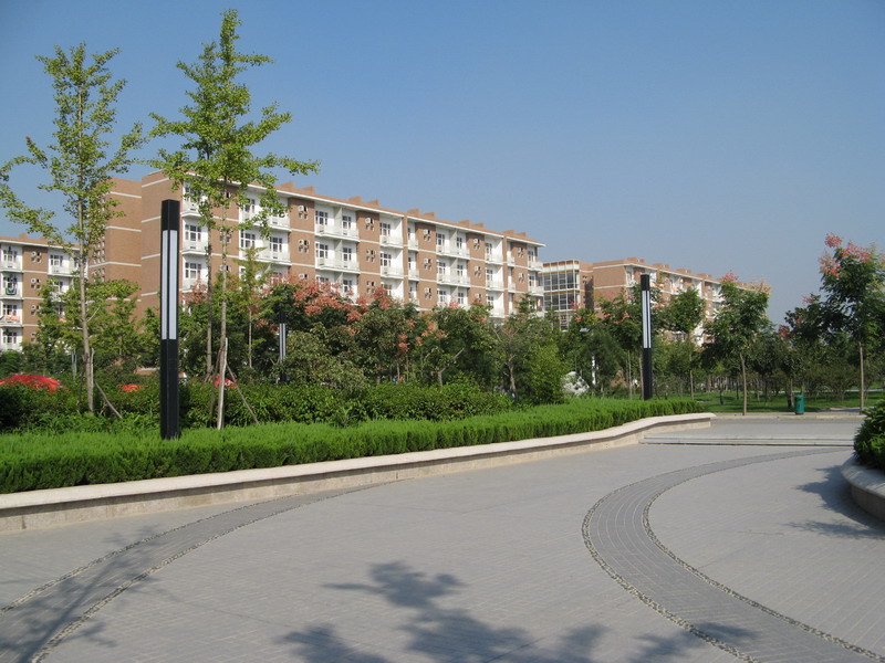 d0114408_17572058.jpg