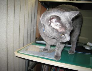 c0066610_16142418.jpg