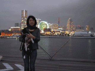 e0080117_215211.gif