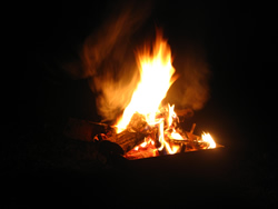b0007619_014333.jpg