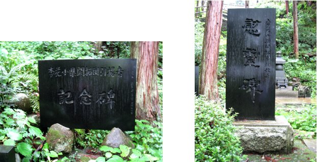 c0051620_88276.jpg