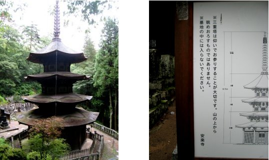 c0051620_884955.jpg
