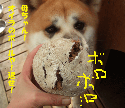 f0008935_1556289.gif