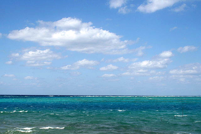 e0039744_17194661.jpg