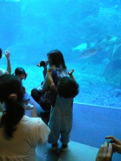 d0070948_1214811.jpg
