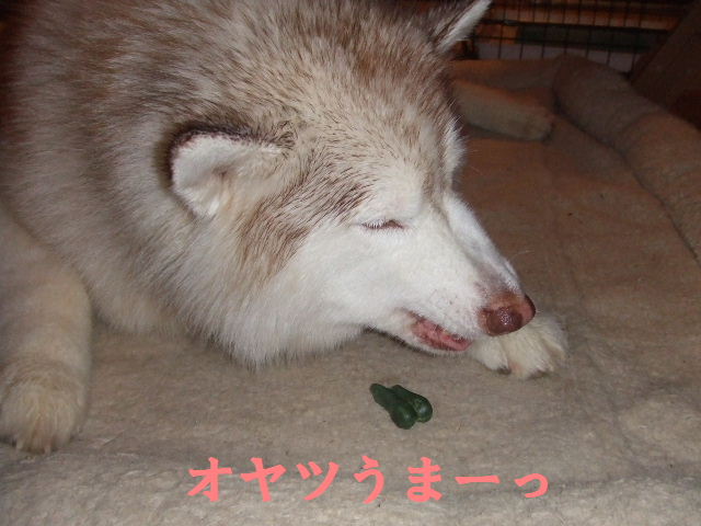 e0121548_20414972.jpg