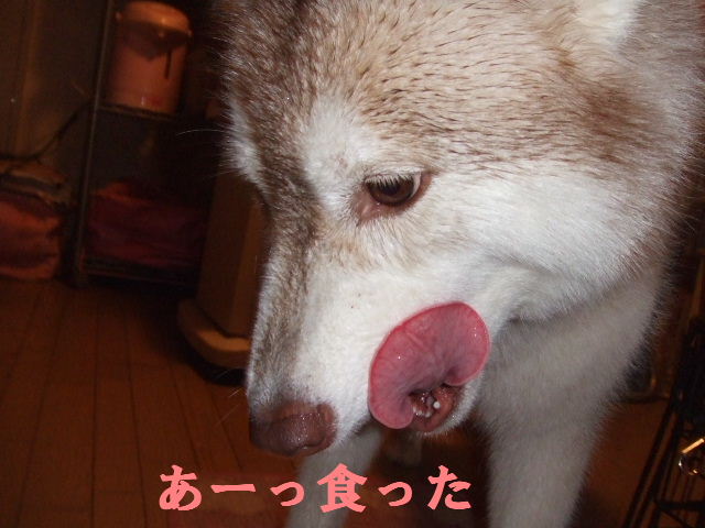 e0121548_20425996.jpg