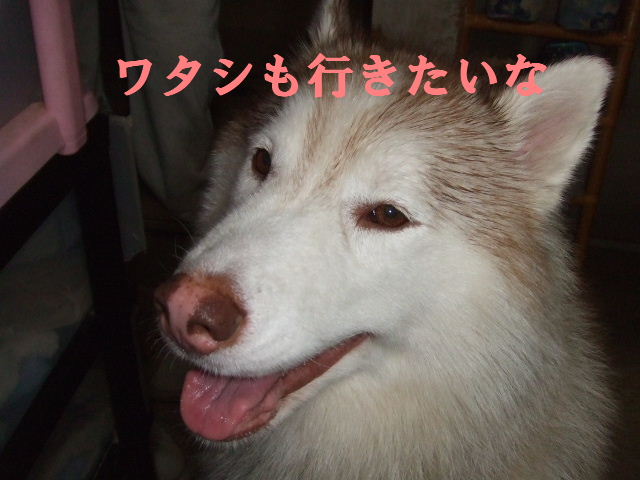 e0121548_20435315.jpg