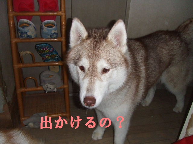 e0121548_20442040.jpg