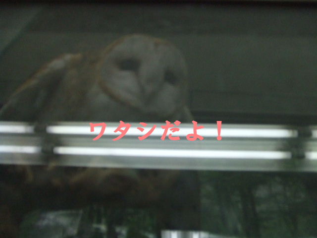 e0121548_21112192.jpg