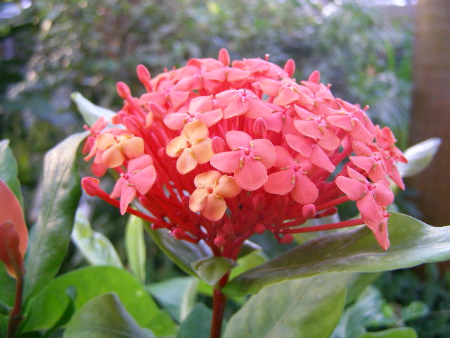 e0064158_302521.jpg