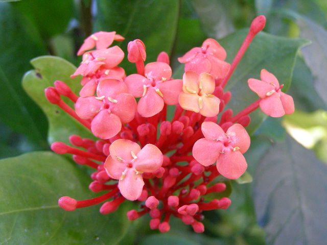 e0064158_304877.jpg