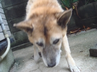 c0108460_1159269.jpg