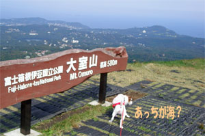 b0065067_12375585.jpg