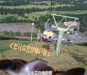 b0065067_12382684.jpg