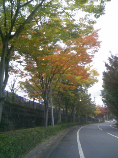 f0061067_21452446.jpg