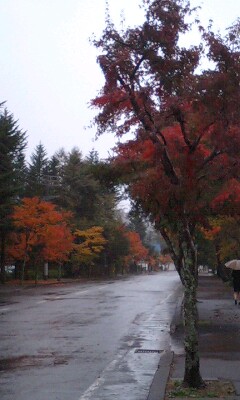 b0069169_1912868.jpg