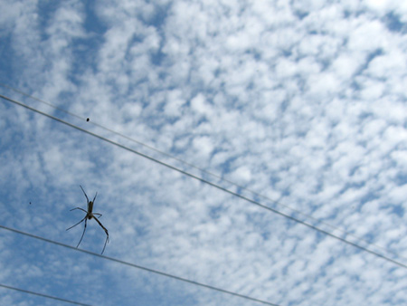 c0104371_11285.jpg