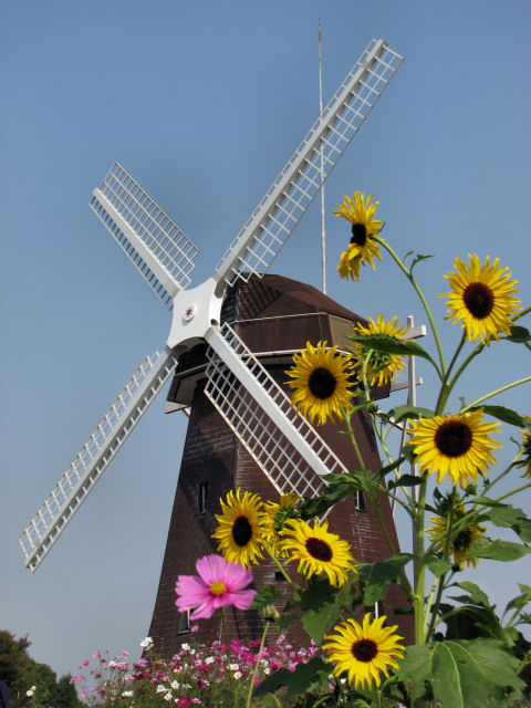 d0079373_2494177.jpg
