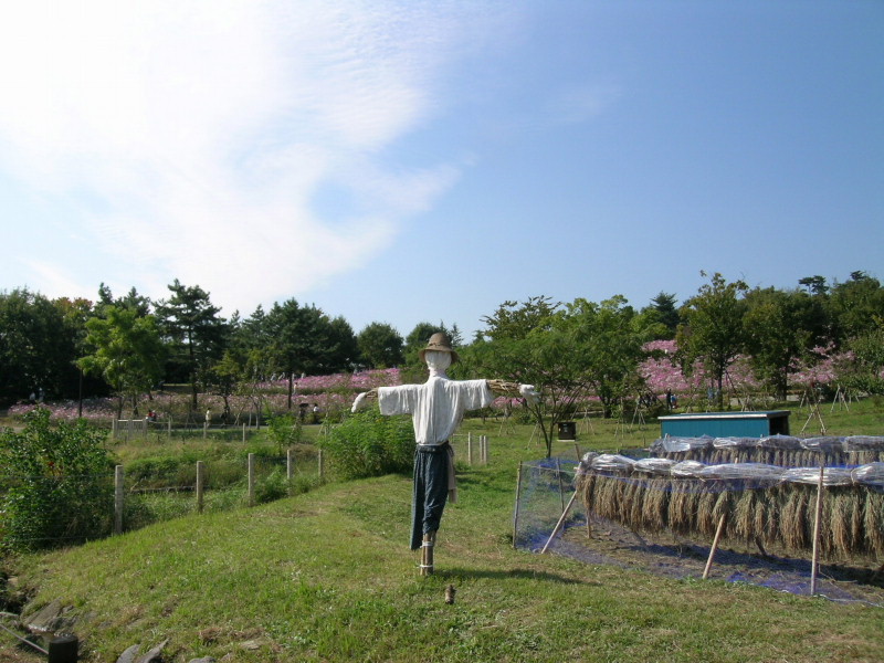 a0079880_191220.jpg