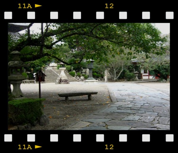 f0120483_2022816.jpg