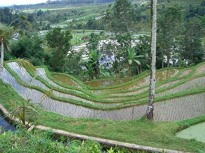 b0101284_22294052.jpg