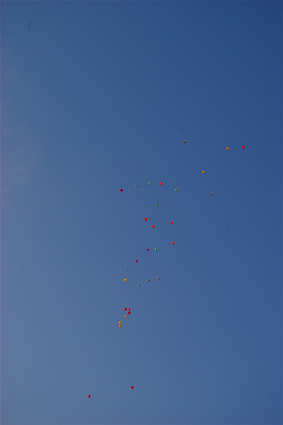 d0013887_7361690.jpg