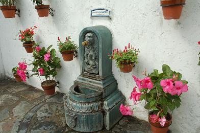 b0100489_2184371.jpg