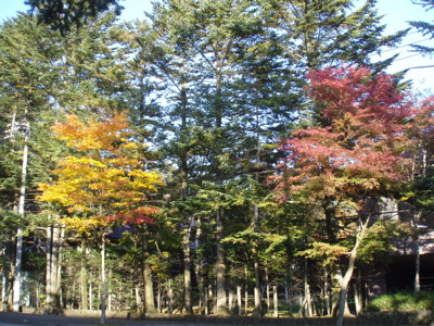 f0130894_12303197.jpg