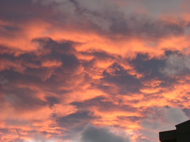 b0044296_21294069.jpg
