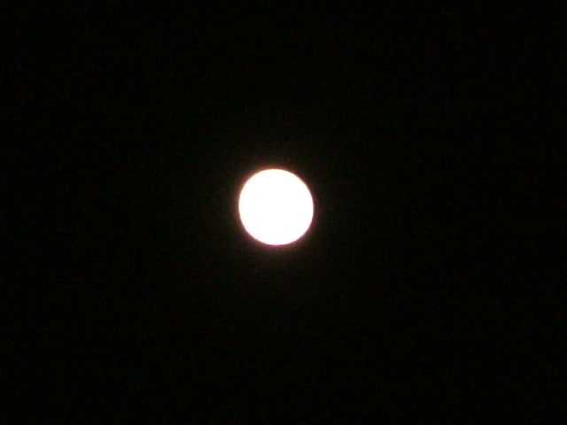 b0044296_21302030.jpg