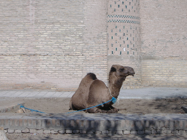 d0029596_26162.jpg