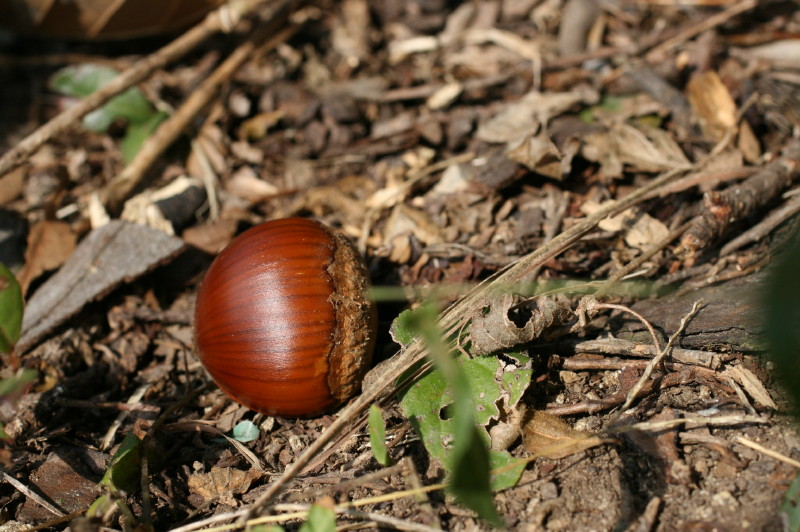 f0083400_193601.jpg