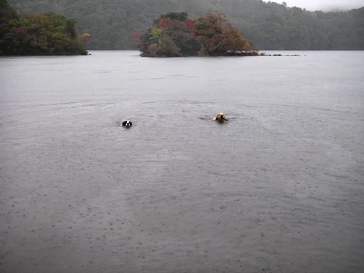 f0034602_2134229.jpg