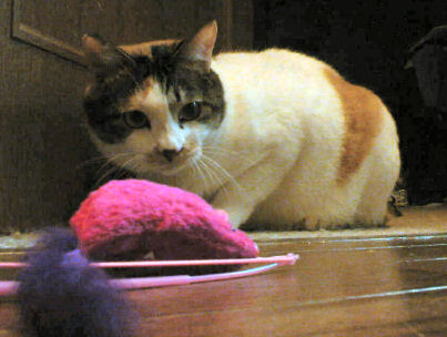 a0024005_16375817.jpg