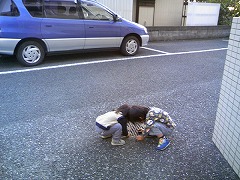 e0012808_16431512.jpg
